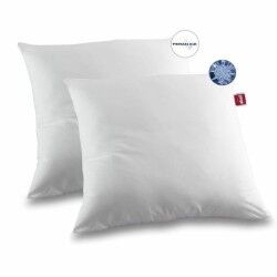 Set di 2 Cuscini Abeil (2 Unità) 2
