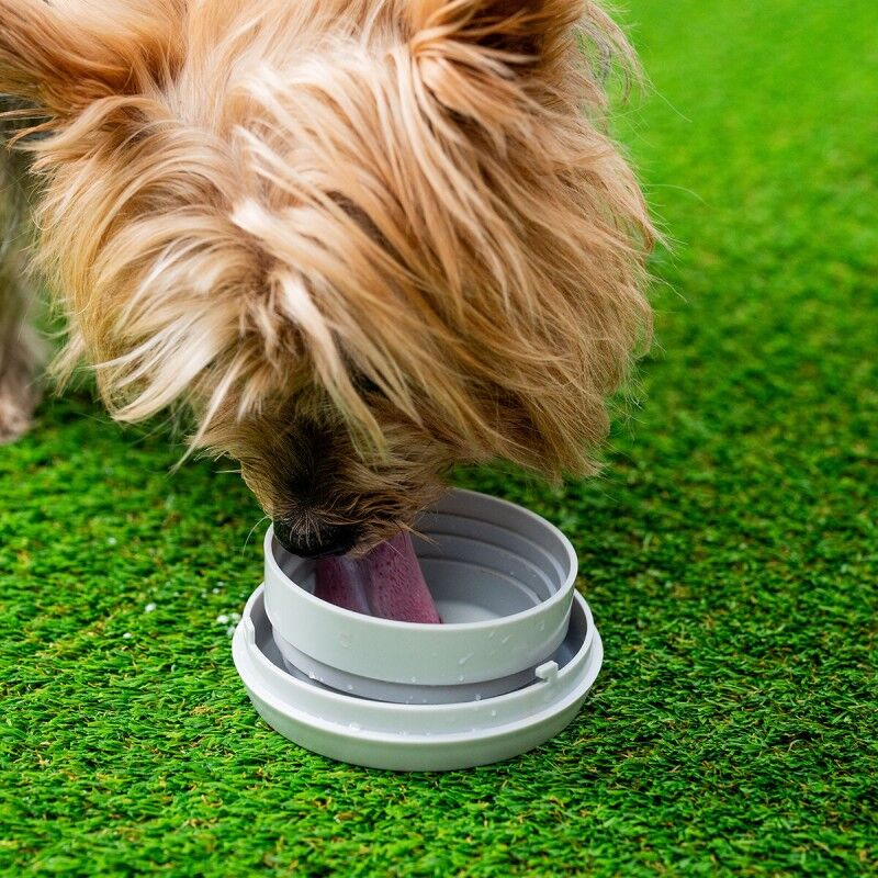 Guinzaglio Retrattile per Cani 6 in 1 Leashic InnovaGoods