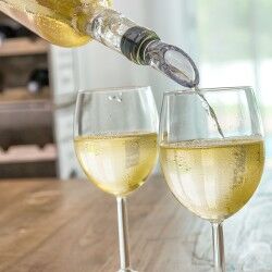 Refrigerante per Vino con Aeratore InnovaGoods 2