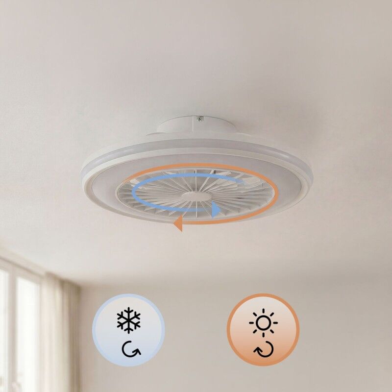 Ventilatore da soffitto con luce LED RGB, pale nascoste e telecomando Nexory InnovaGoods